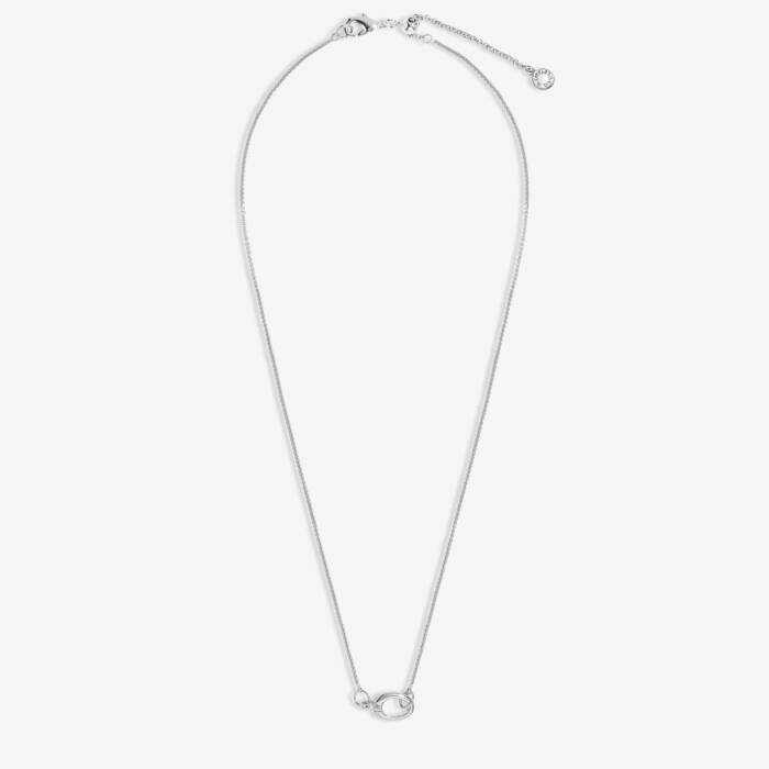1 Charm Clasp Rolo Chain Necklace In Silver Plating