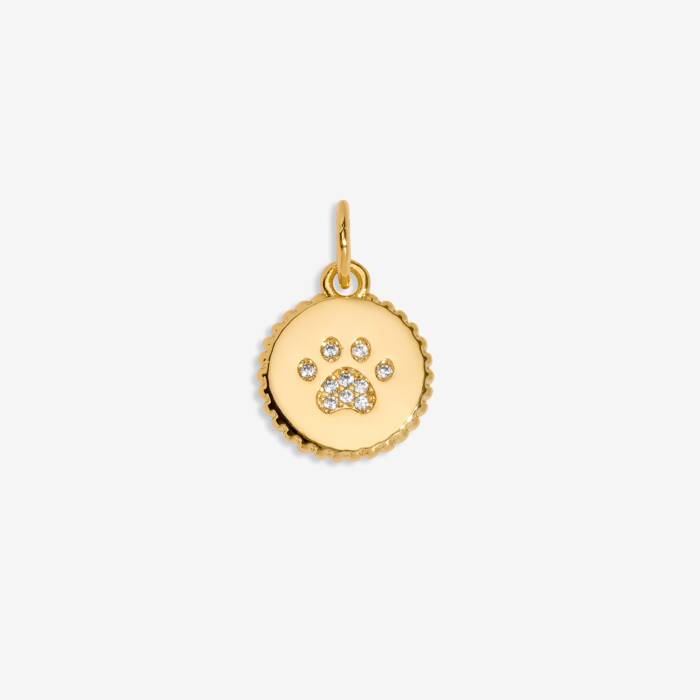 Pawfect Small Charm In Gold-Tone Plating