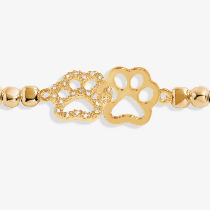 A Little 'Perfect Paw Print' Bracelet