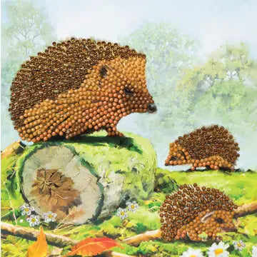 Crystal Art Card Kit (Many Varieties)