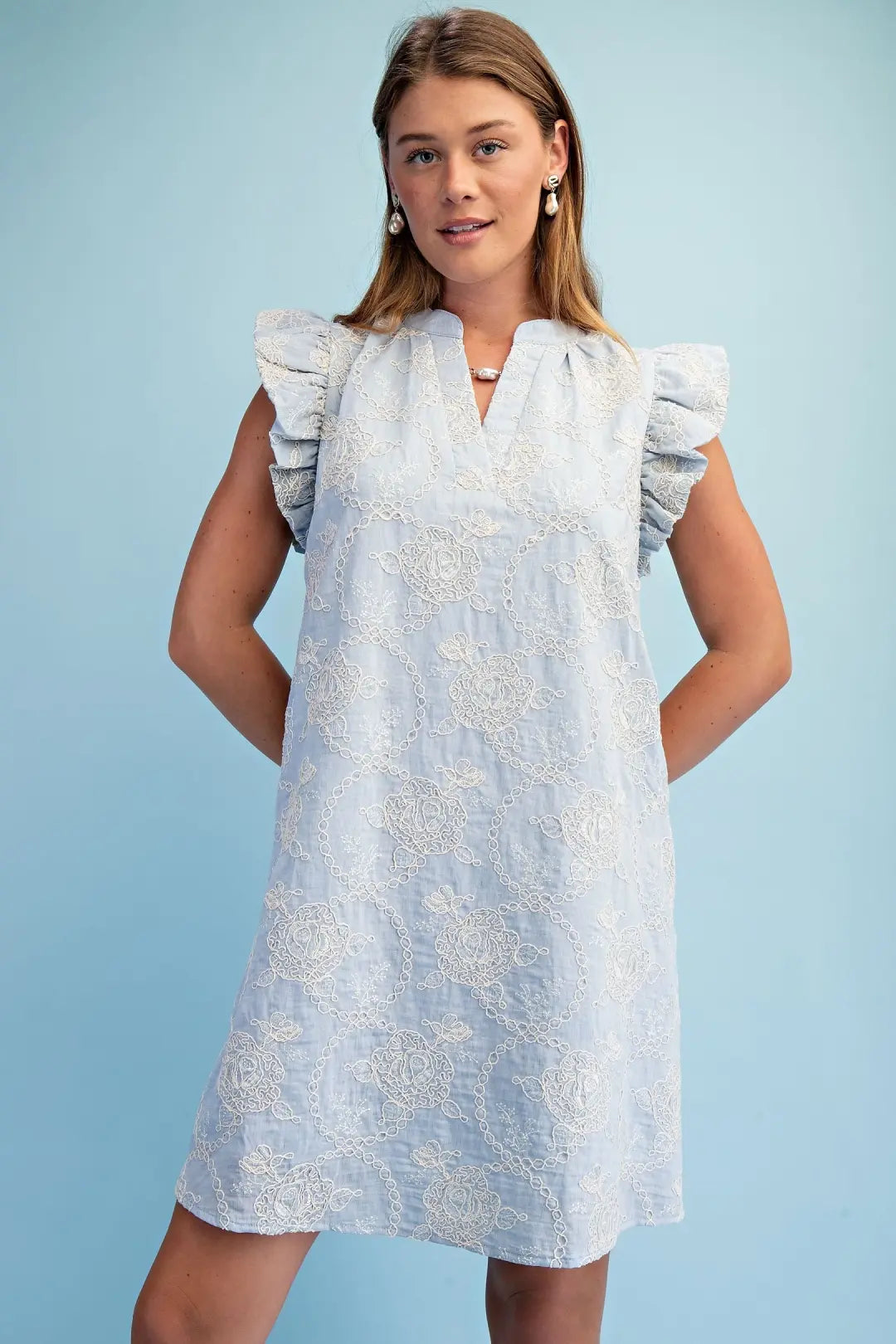 Embroidered Mini Dress with Ruffle Sleeve