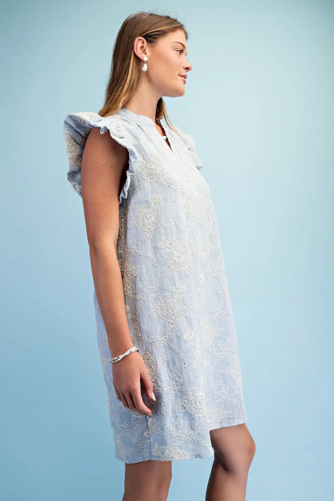 Embroidered Mini Dress with Ruffle Sleeve