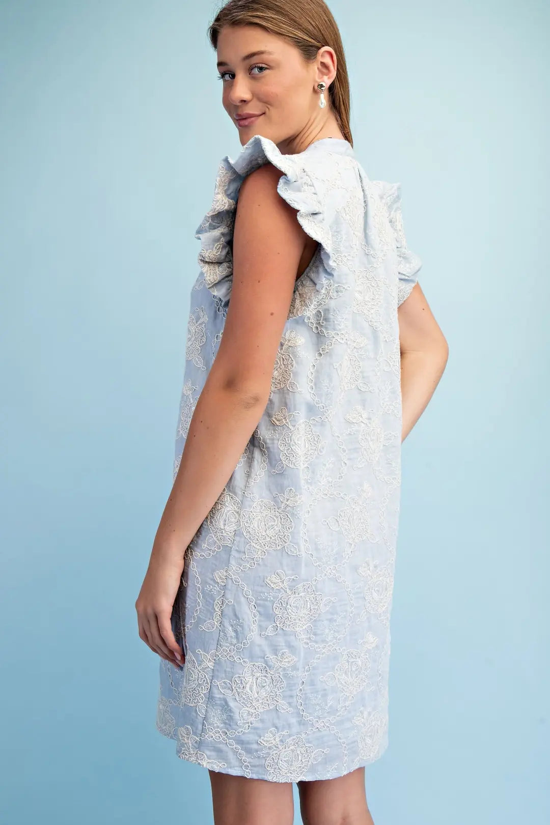 Embroidered Mini Dress with Ruffle Sleeve