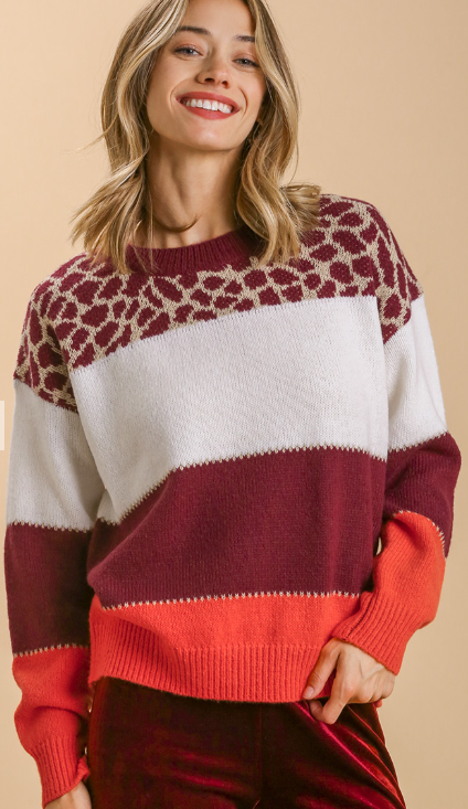 Animal Print Detail with Color Block Mock Neck Knitted Pullover Sweater