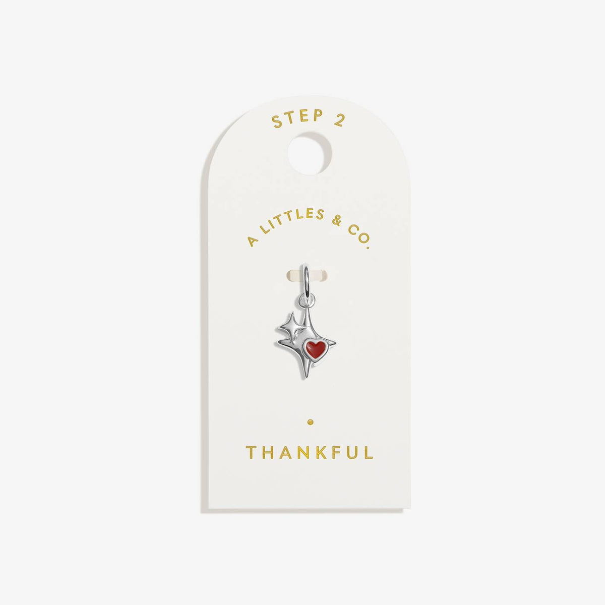 Thankful Small Charm