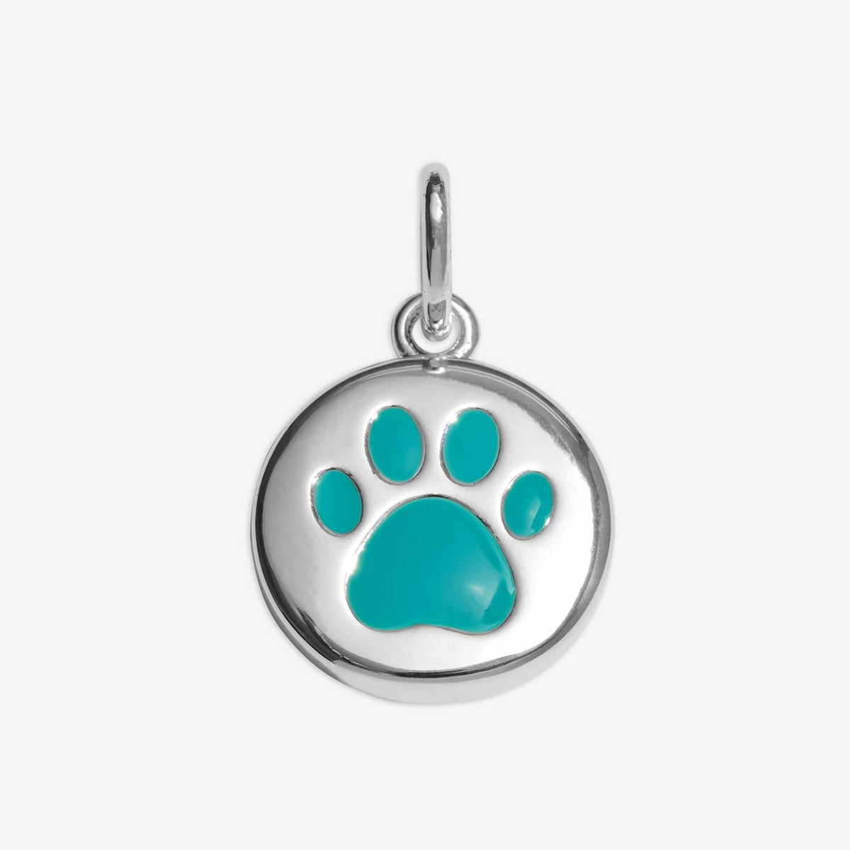 Pawsitivity Small Charm