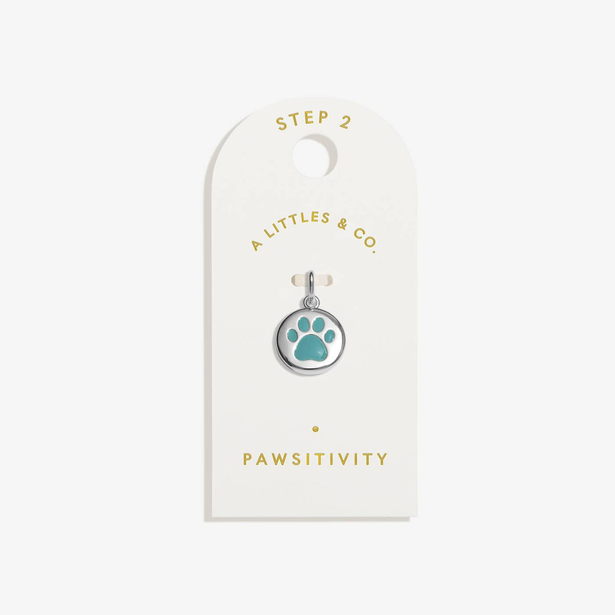 Pawsitivity Small Charm
