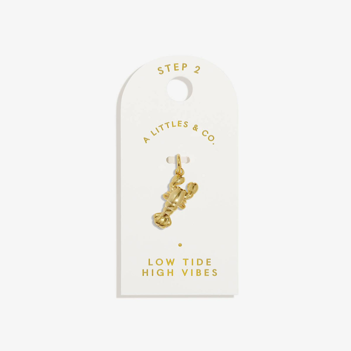 Low Tides High Vibes Medium Charm