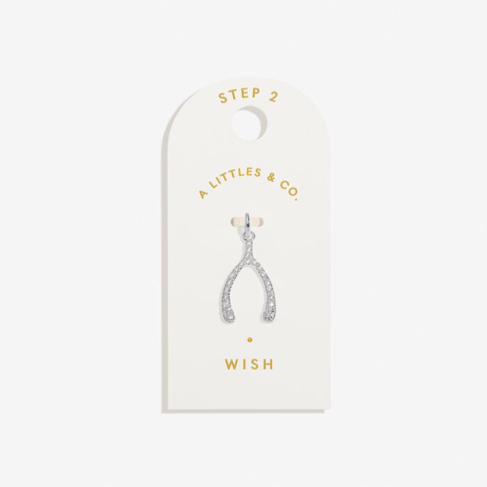 'Wish' Medium Charm