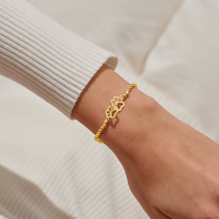 A Little 'Perfect Paw Print' Bracelet